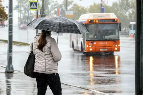 Показывает когда будет дождь