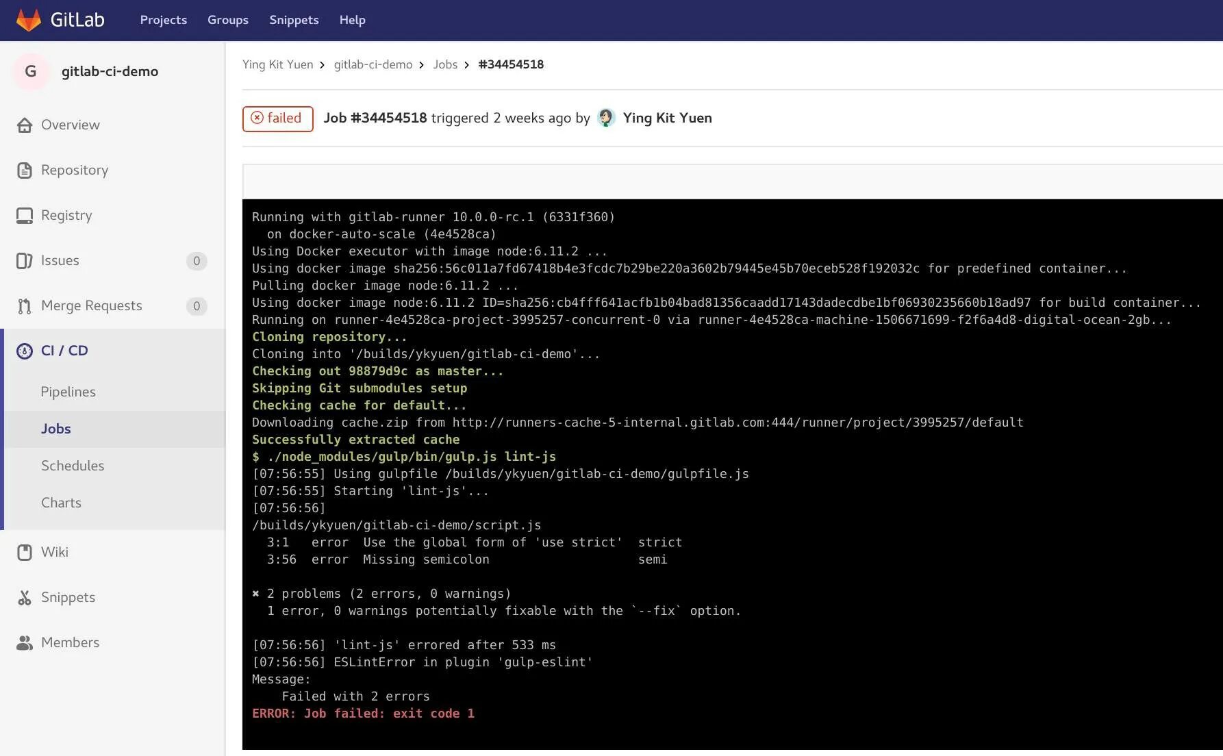 Program runs