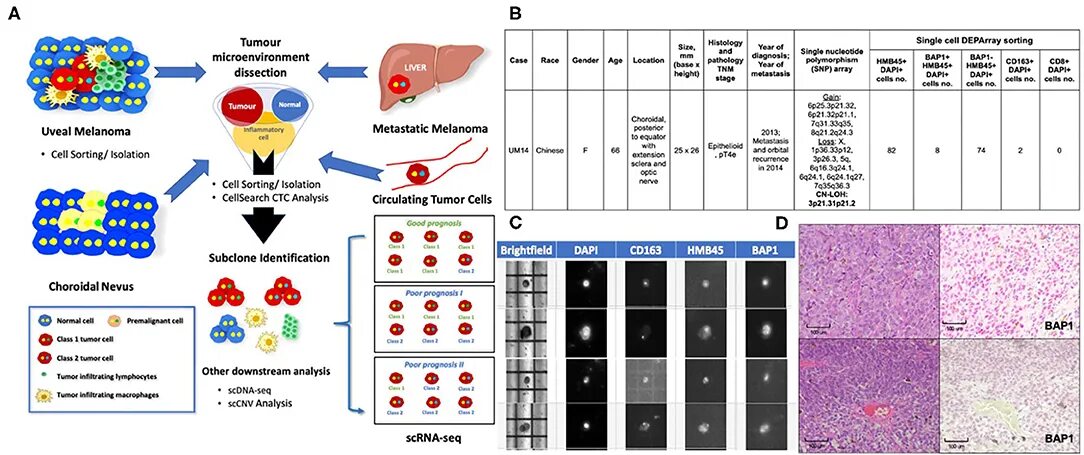 Application cells