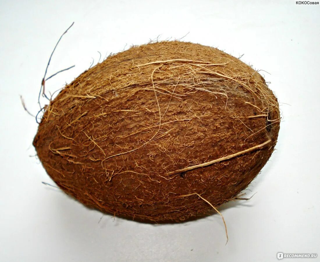 Coconut transparent image Фрукты, Кокос, Овощи