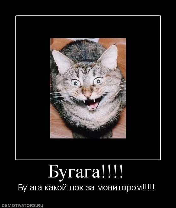 Демотиваторы бугага. Демотиватор я сама. Бугага ру сайт хорошего настроения демотиваторы. Бугага демотиваторы смешные. Демотиватор дайте две.