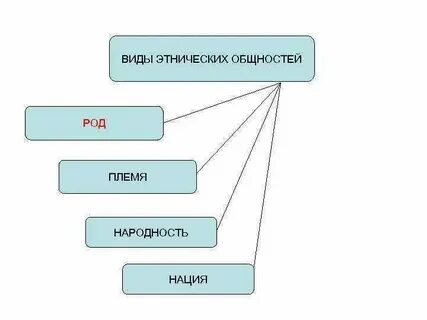 Род племя признаки
