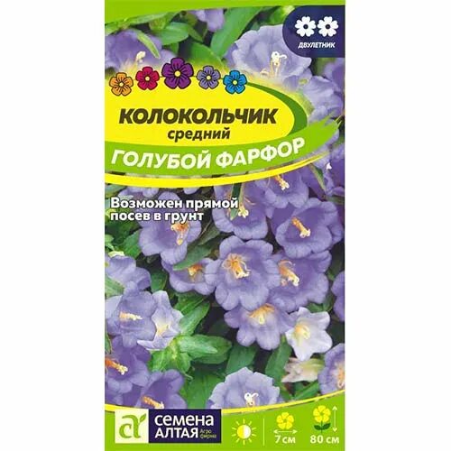 Стихотворение про колокольчик для детей. Стихи про колокольчики цветы. Семена колокольчика персиколистного. Кампанула синий колокольчик. Колокольчик голубой песня.
