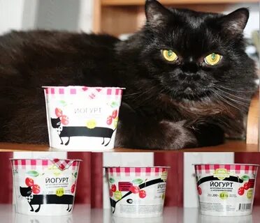 3 кота йогурт