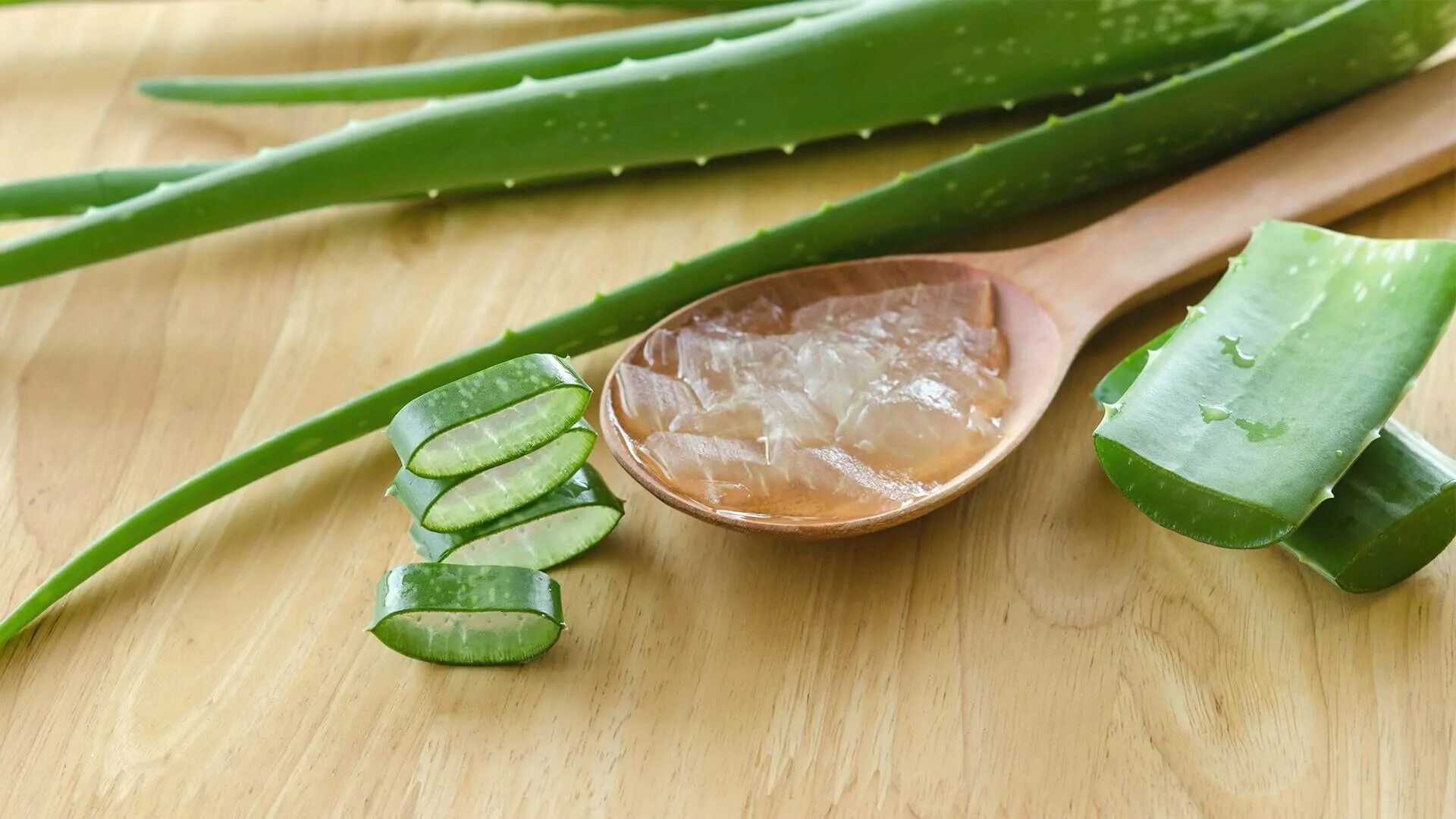 Алоэ барбаденсис Миллер. Aloe Vera Gel. Капли из алоэ в домашних условиях