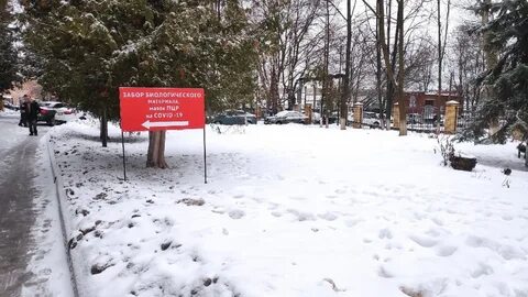 Заболеваемость во владимире