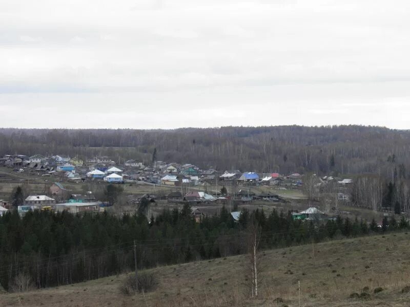 Наумовка томская область. Наумовка томская область. Наумовка томск. Наумовка томск. Мбоу наумовская сош.