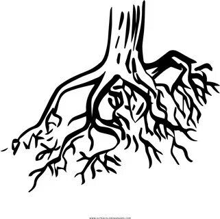 Корень черн