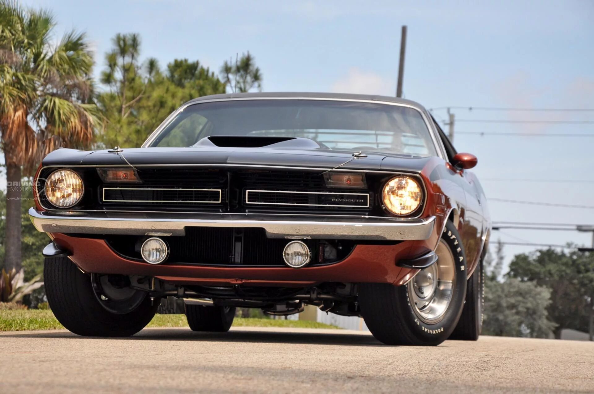 Pip cuda. Шевроле плимут барракуда 1971. плимут барракуда 1970. plymouth barracuda 70. шевроле барракуда 1970.