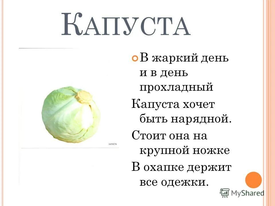 если хочется шоколада чего не хватает в организме. хочется шоколада чего не хватает в организме. чего не хватает организму. капуста надежда семена. чего не хватает если хочется капусты.