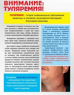 Туляремия как передается