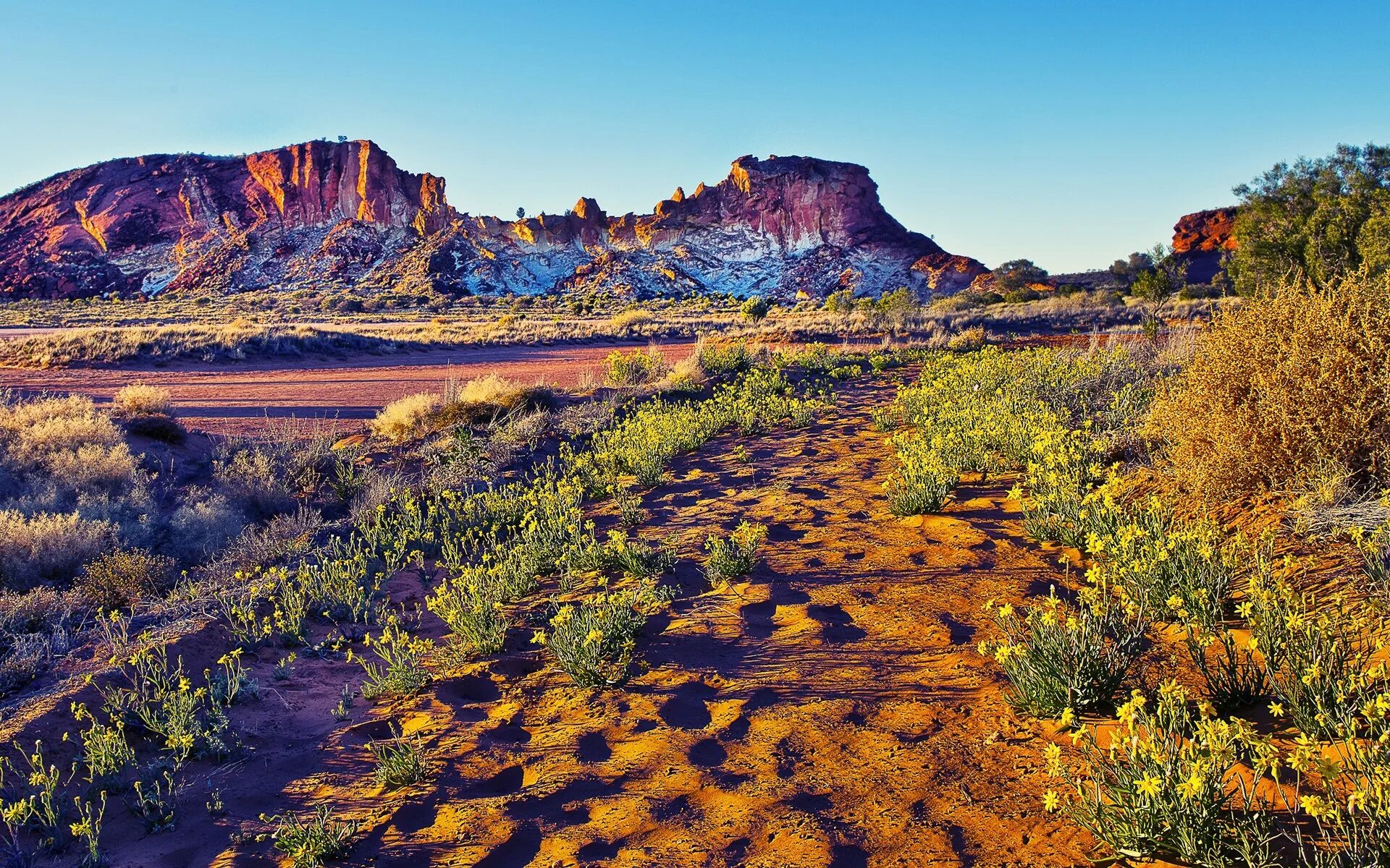 Аризона горы. Седона штат аризона. Штат юта природа. Гранд-каньон (штат аризона). Аризона штат сша.