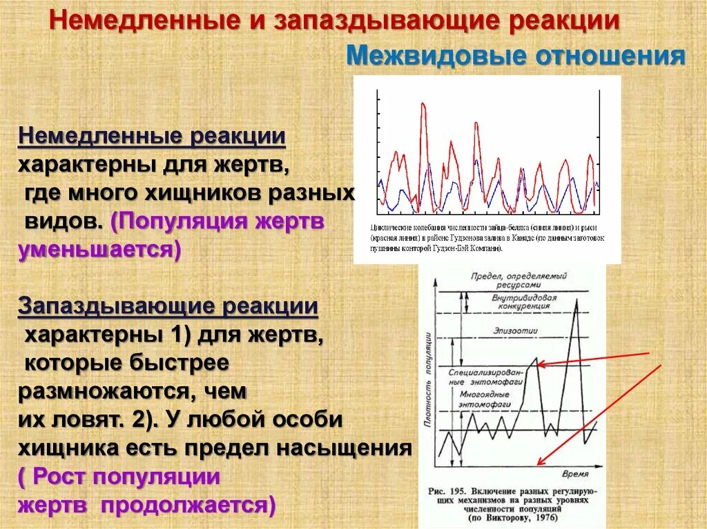 Какой из факторов регулирует численность популяций. Регулирование численности популяции. Регуляция численности популяции в природе. Способы регулирования численности популяции. Саморегуляция численности популяций.