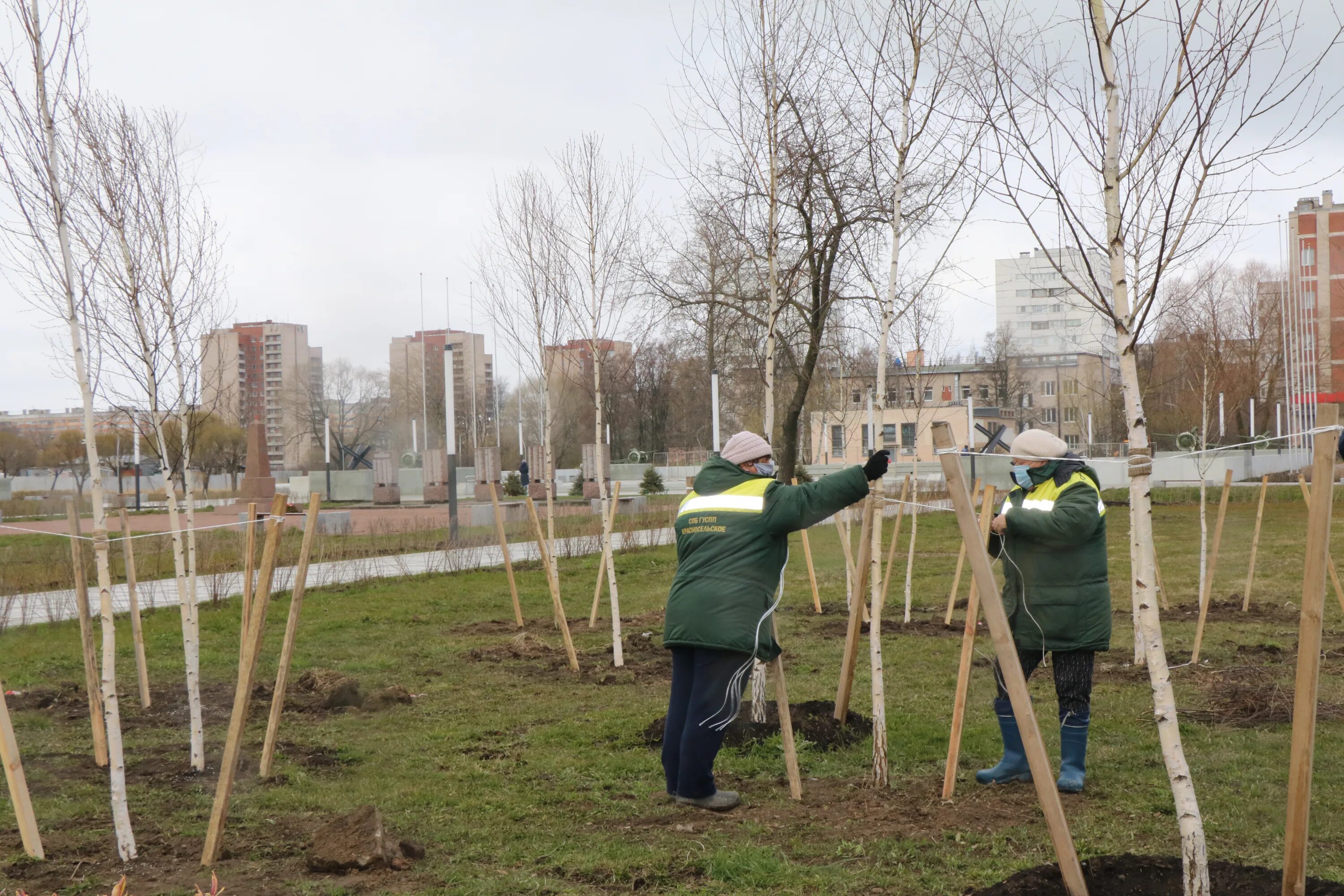 Садовод парковок хозяйство красно сельского района. Садово Парковое хозяйство. Садово-Парковое хозяйство посадка деревьев. Садово Парковое Красносельское.