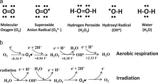 H2o2. H2o2 схема. H2o схема Льюиса. 2h2o2 = 2h2o + o2.