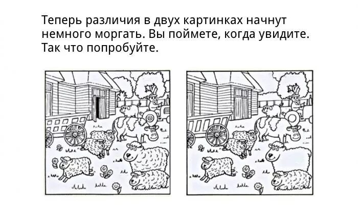 Найди сходства и различия. Рисунки тесты на внимание. Задачки на внимательность в картинках. Интересные головоломки в картинках на внимательность. Много общего и много различий