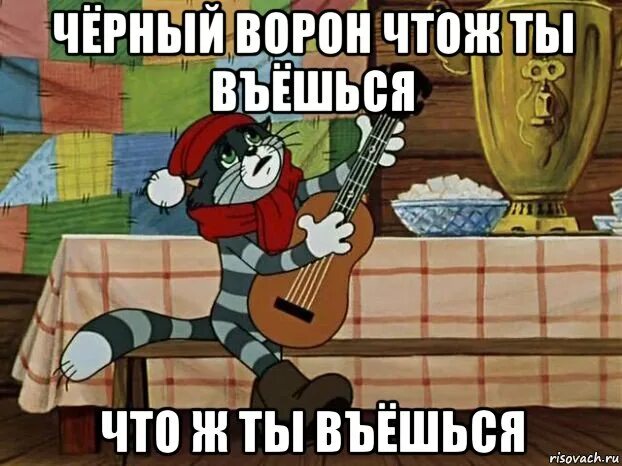 А я все чаще замечаю на гитаре. А я все чаще замечаю. а я все чаще замечаю что скоро нах всех пошлю. кот матроскин с гитарой. матроскин совместный труд.