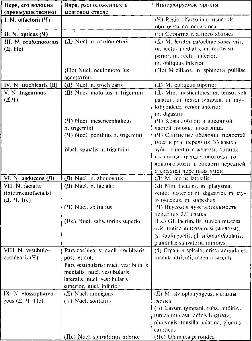 Функции ядер черепно мозговых нервов таблица. Черепные нервы и области иннервации таблица. Черепные нервы иннервация таблица. Ядра черепных нервов таблица.