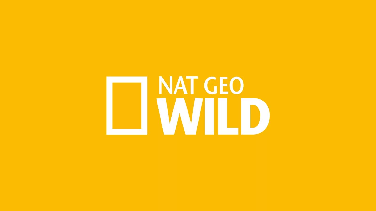 Нат Гео вайлд. Nat geo Wild Телеканал логотип. Передачи нат