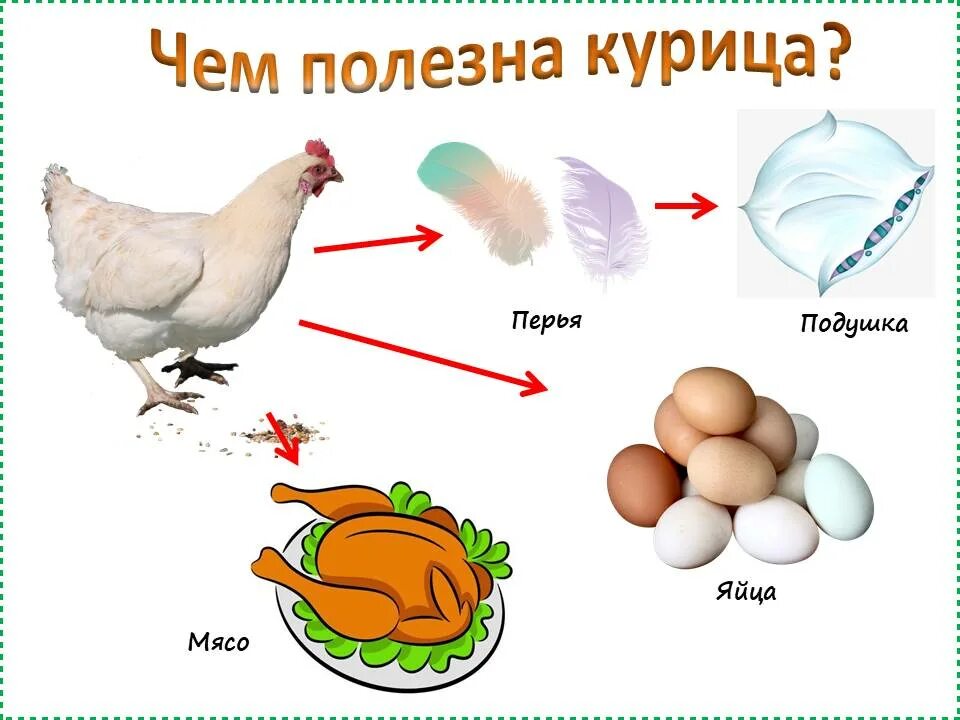 Утиный какое прилагательное