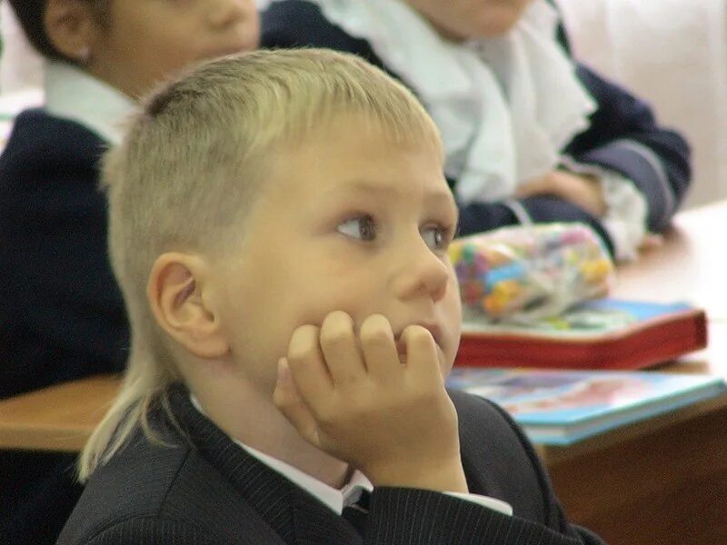В 2006 году школьники