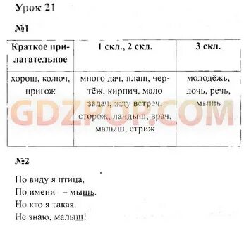 Молодежь дочь плащ много дач