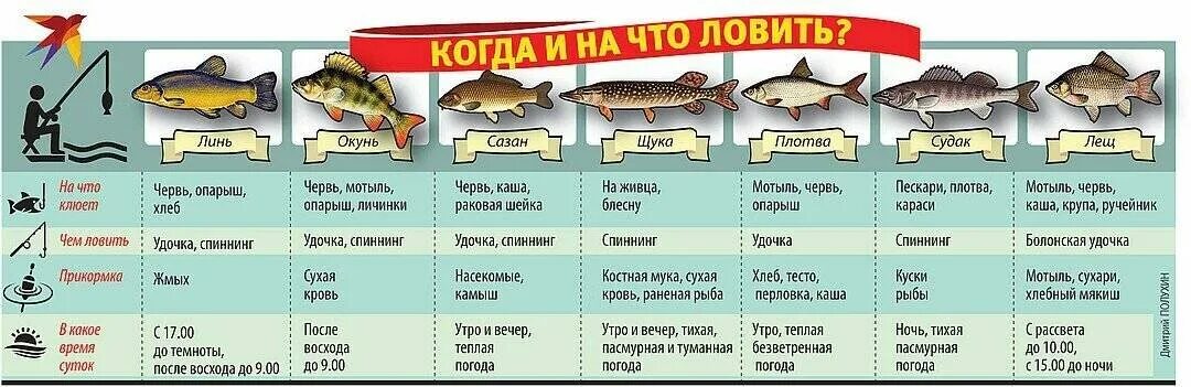 В какой период можно ловить рыбу