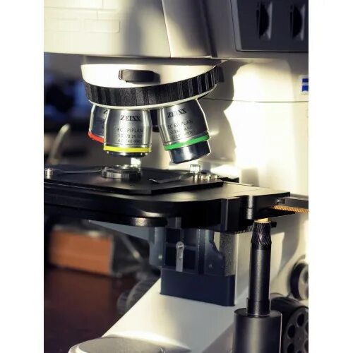 Lab a1. Микроскоп лабораторный zeiss axio lab.a1. микроскоп axio lab a1. микроскоп carl zeiss axio lab a1. zeiss axio scope a1.