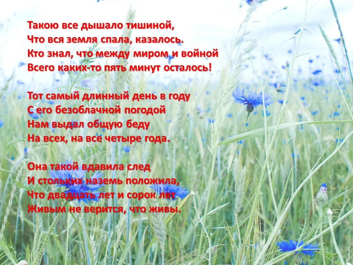 Такою все дышало тишиной что вся земля. Кто знал что между миром и войной всего каких то пять минут осталось. Самый длинный день в году стихотворение. Стих такою все дышало тишиной.