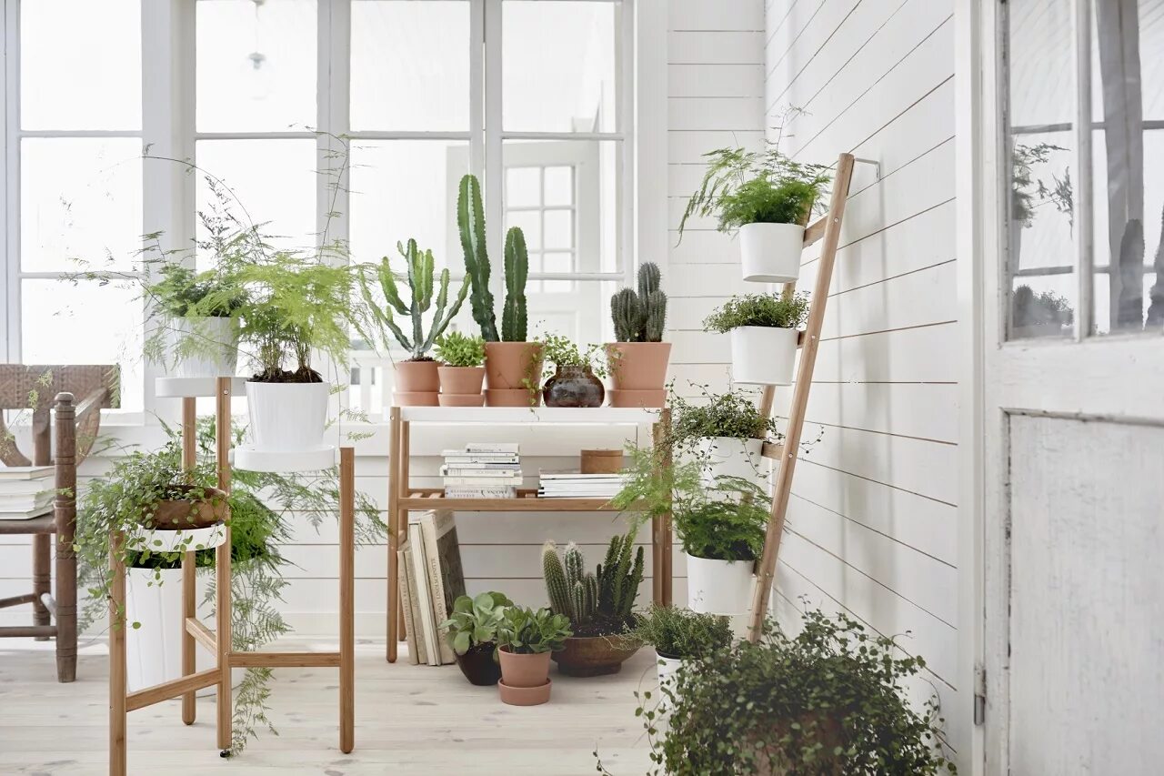 The home garden