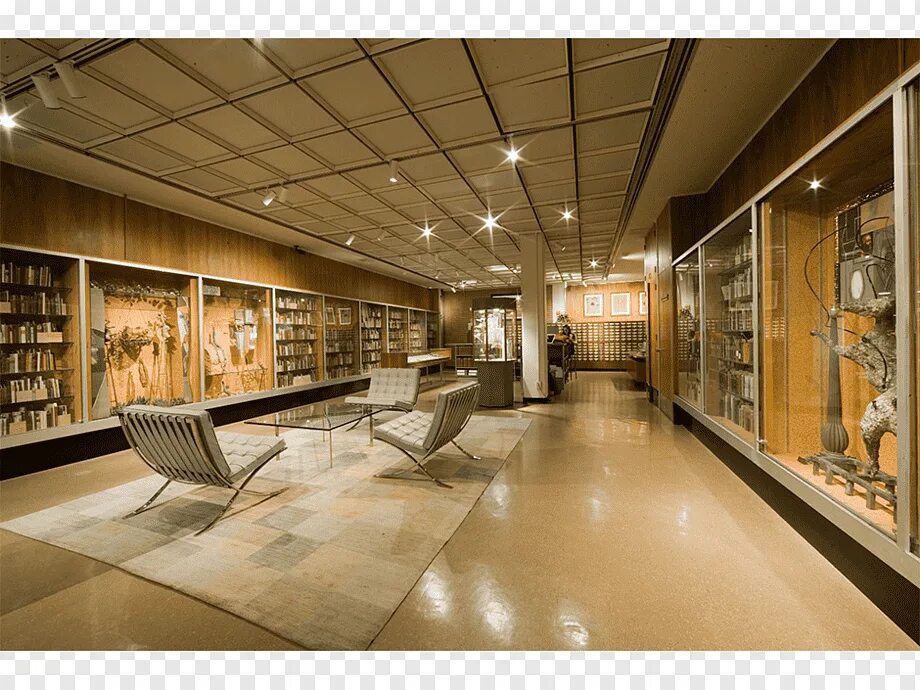 Special library