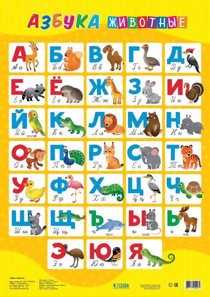 Название животного из 4 букв