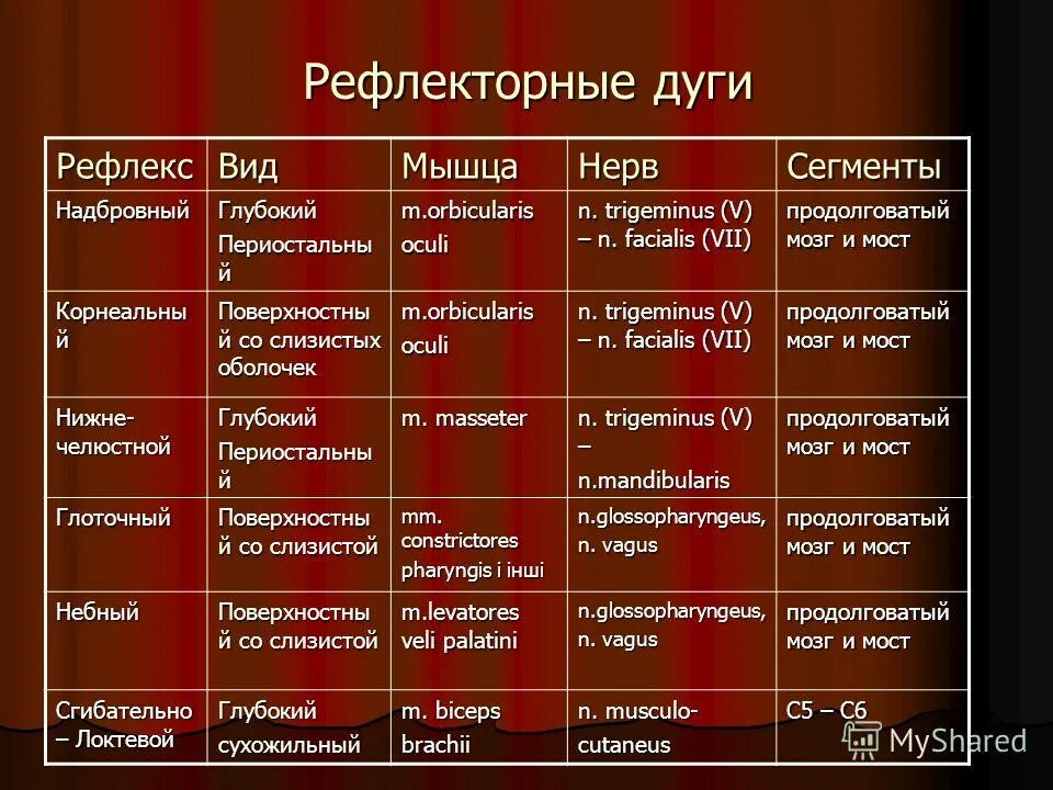 Характерные особенности безусловного рефлекса