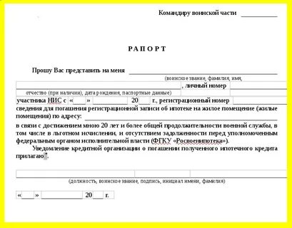 Рапорт регистрация