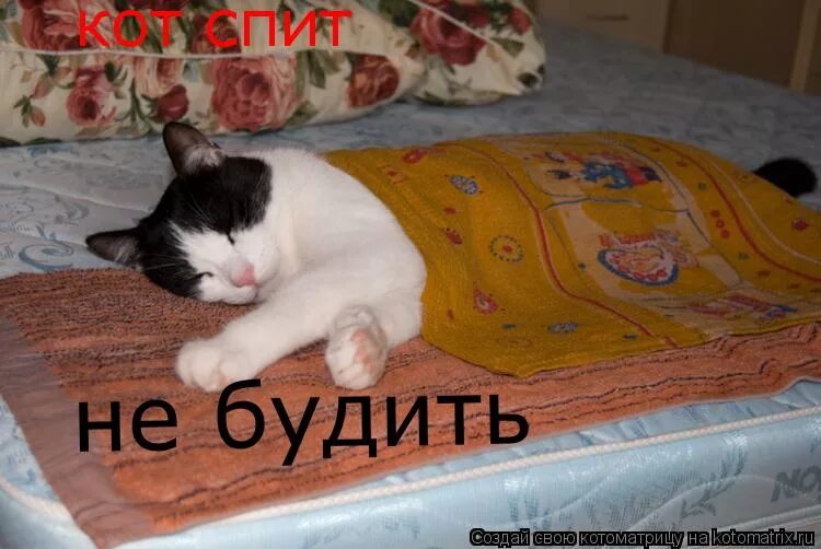 Сон разбудить спящего
