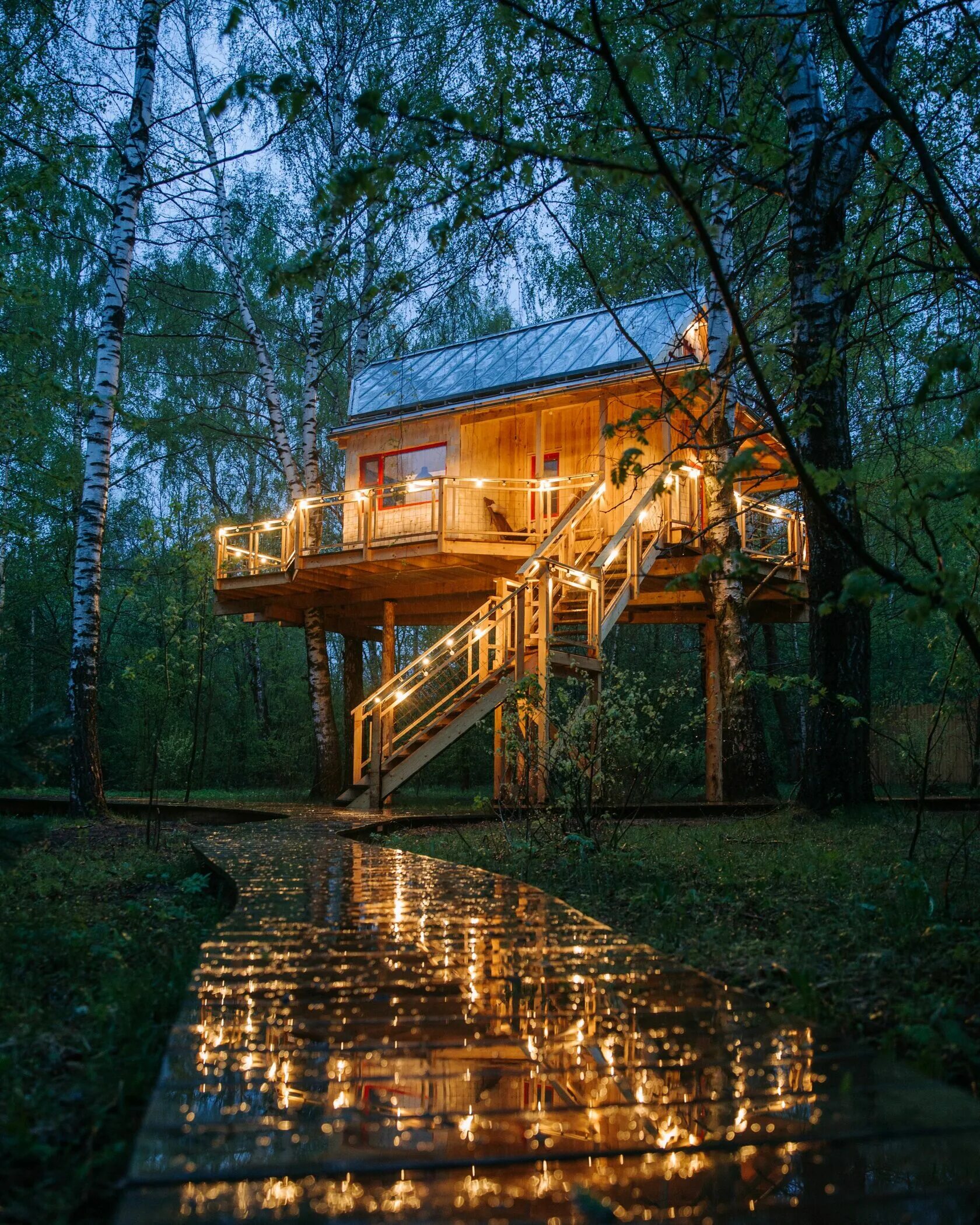 Домик на дереве отель в подмосковье ласточкино гнездо. Тульская обл дом на дереве. Лапочкино гнездо дома на деревьях тульская область. Лапочкино гнездо дом на дереве. Лапочкино гнездо тульская область.
