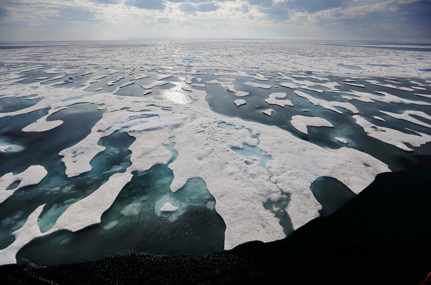 Голабальная потпления. Арктические моря. Изменение климата. Полярное море. Как меняется природа арктических морей