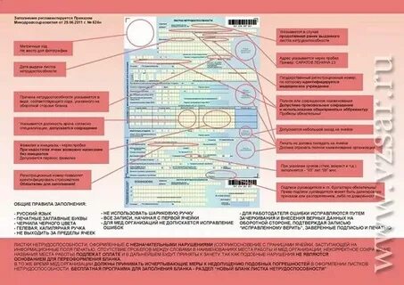 Узнать номер больничного листа по телефону