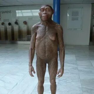 Видео секс көріністері