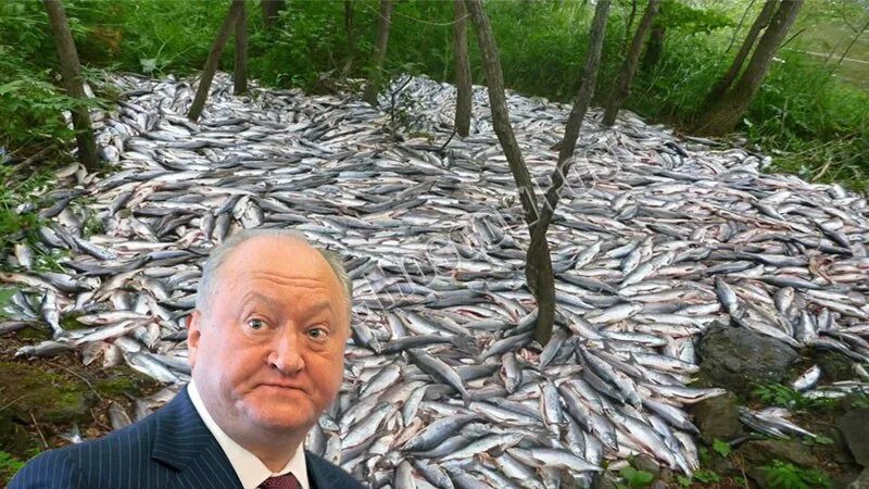 Госдума осенью рассмотрит законопроект о миллионных штрафах за клевету в соцсетя