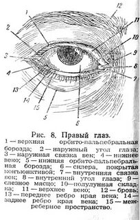 Связки глаза