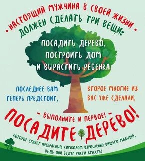 Цель посадить дерево