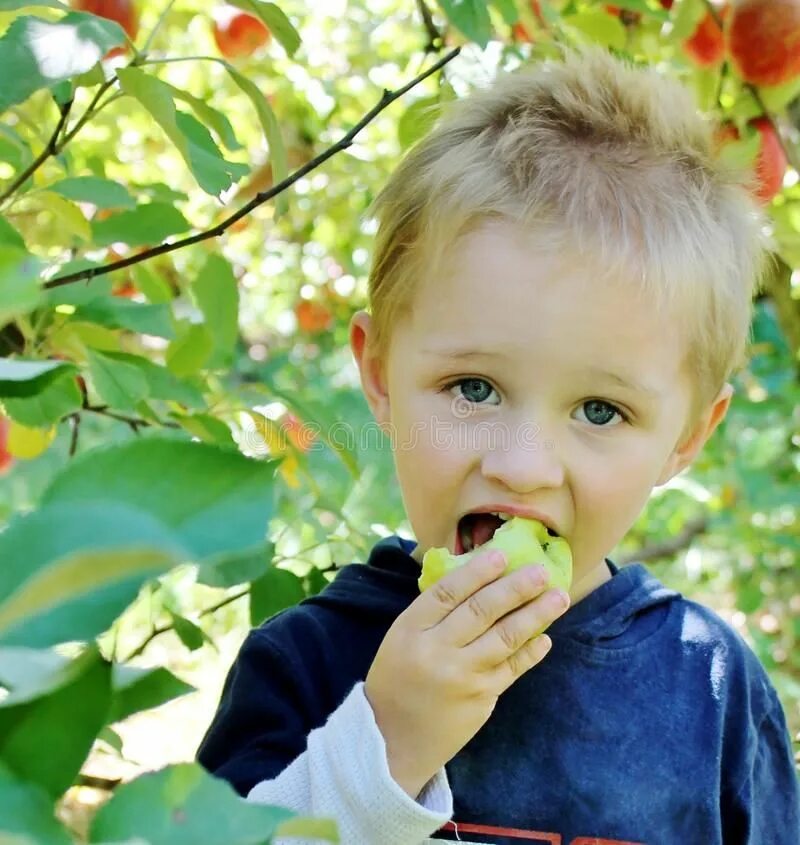 Мальчик с яблоком. Картина мальчик с яблоком. Фотография мальчик с яблоками. Пацан с яблоком.