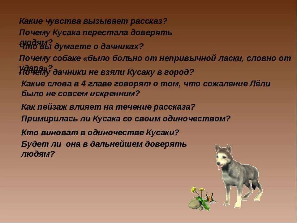 Кратчайшее содержание рассказа кусака. Рассказ кусака. какие чувства вызывает рассказ. вопросы к произведению кусака. сочинение по кусаке.
