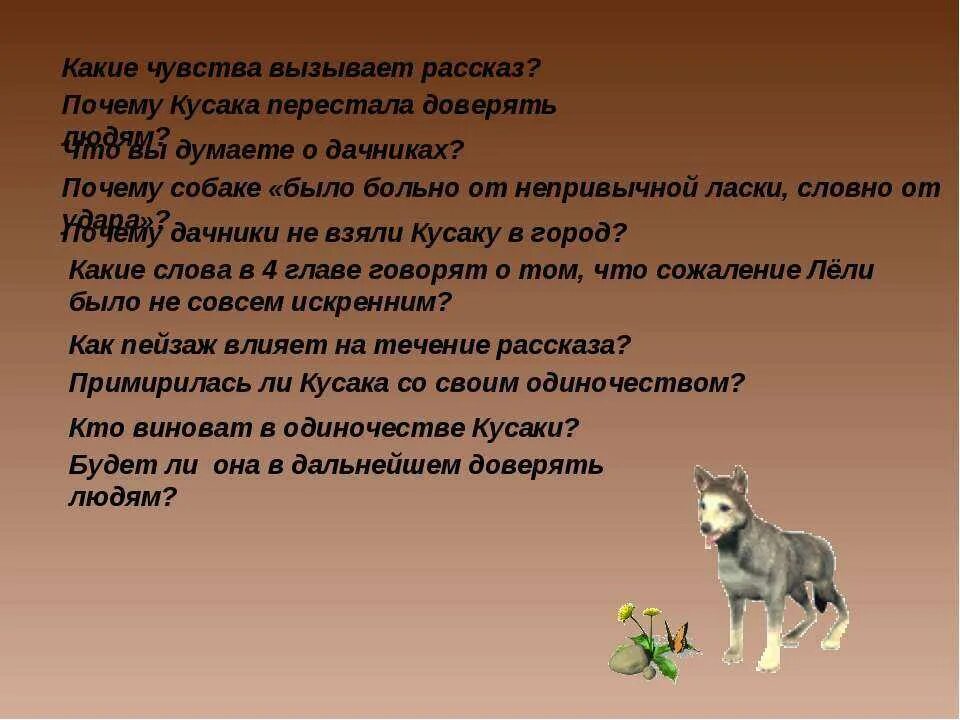 Кусака кратчайшее содержание. Рассказ кусака. Какие чувства вызывает рассказ. Вопросы к произведению кусака. Сочинение по Кусаке.