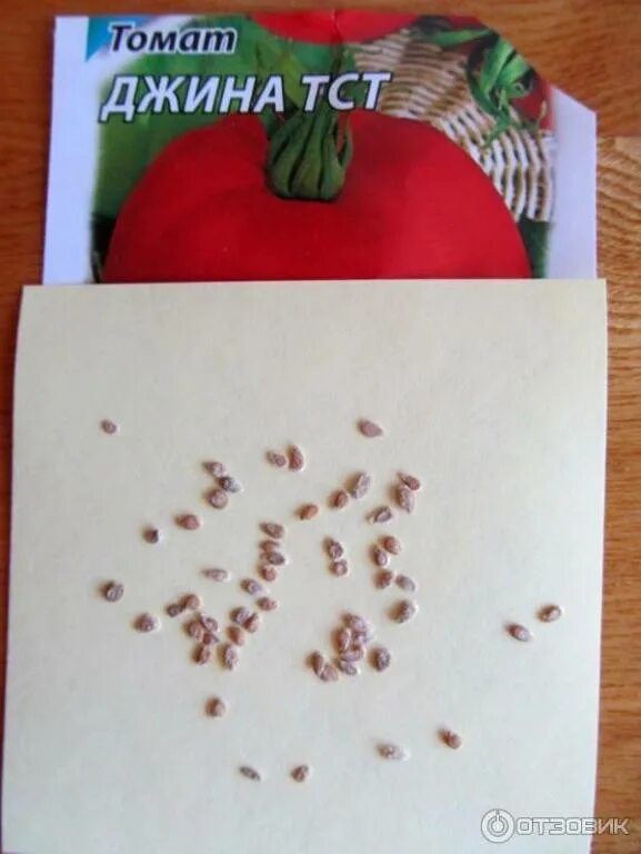 Размер семян томата. Семена помидор. Семена томатов с описанием. Семена помидор в пакетиках. Семена томатов и огурцов.
