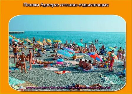 Адлер отзывы туристов