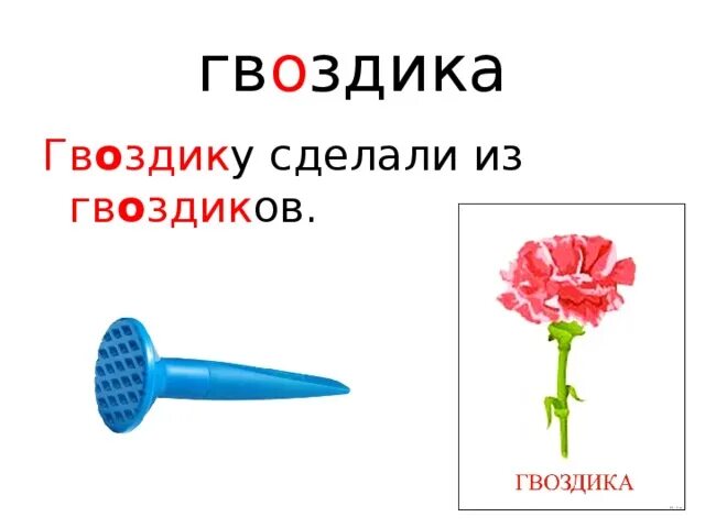 Словарное слово гвоздика. Гвоздика омонимы. Предложения про гвоздики. Словарное слово гвоздика в картинках.