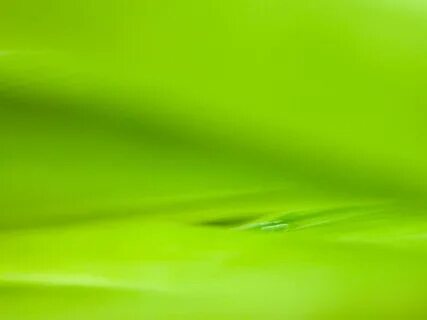 Green b