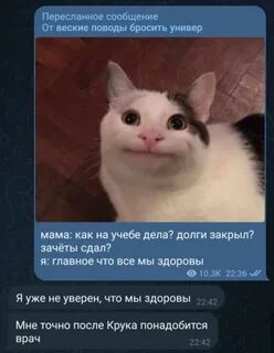 Глупая это точно